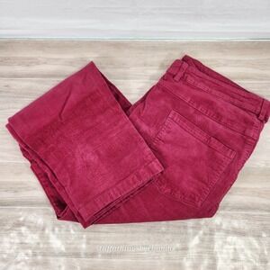 Woman Within Womens Stretch Corduroy‎ Plus Sz 16W  Classic Straight Leg Fushia